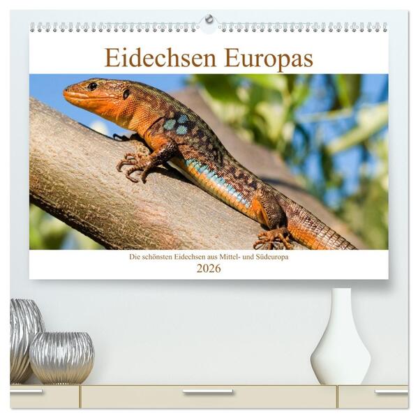 Eidechsen Europas (hochwertiger Premium Wandkalender 2026 DIN A2 quer) Kunstdruck in Hochglanz