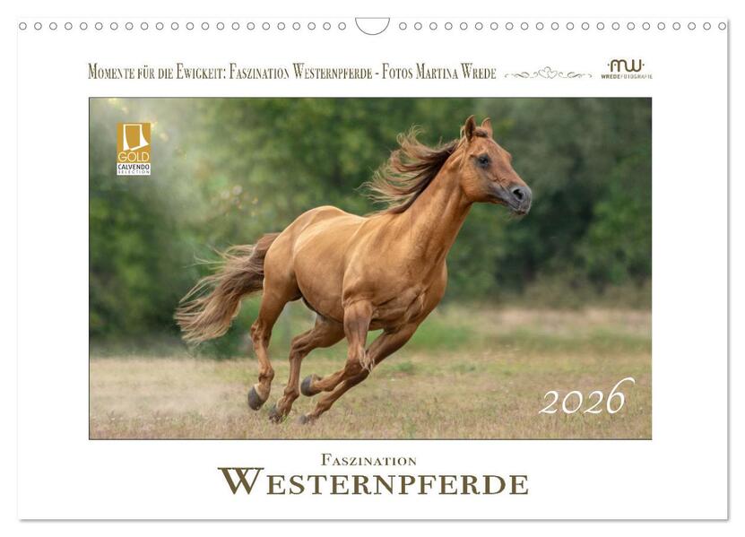 Faszination Westernpferde (Wandkalender 2026 DIN A3 quer) CALVENDO Monatskalender