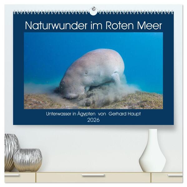 Naturwunder im Roten Meer (hochwertiger Premium Wandkalender 2026 DIN A2 quer) Kunstdruck in Hochglanz