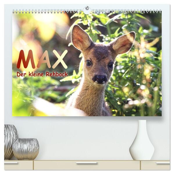 Max der kleine Rehbock (hochwertiger Premium Wandkalender 2026 DIN A2 quer) Kunstdruck in Hochglanz