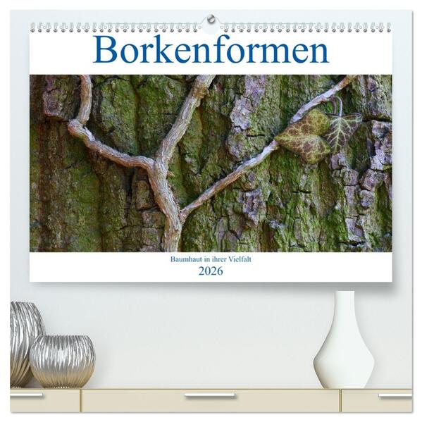 Borkenformen (hochwertiger Premium Wandkalender 2026 DIN A2 quer) Kunstdruck in Hochglanz