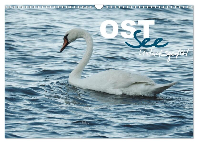 Ostsee - Urlaubsgefühl (Wandkalender 2026 DIN A3 quer) CALVENDO Monatskalender