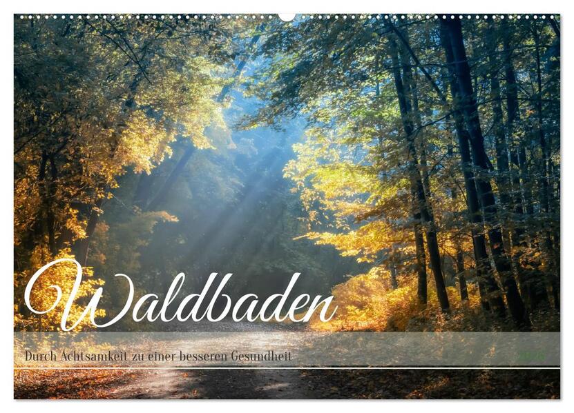 Waldbaden - Durch Achtsamkeit zu einer besseren Gesundheit (Wandkalender 2026 DIN A2 quer) CALVENDO Monatskalender