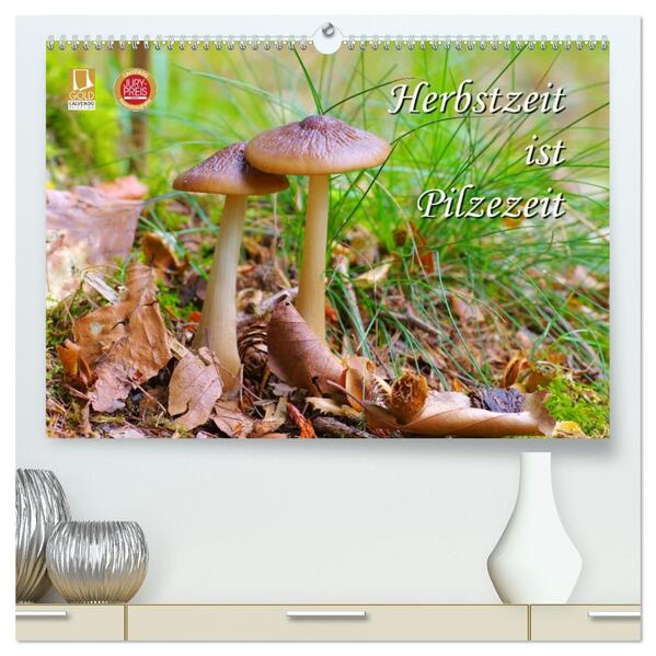 Herbstzeit ist Pilzezeit (hochwertiger Premium Wandkalender 2026 DIN A2 quer) Kunstdruck in Hochglanz