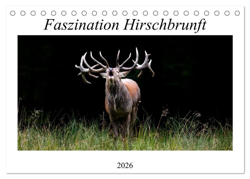 Faszination Hirschbrunft (Tischkalender 2026 DIN A5 quer) CALVENDO Monatskalender