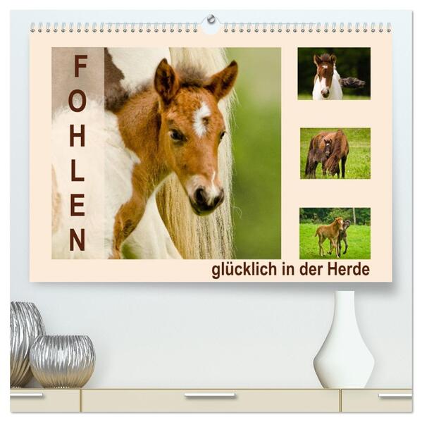 Fohlen glücklich in der Herde (hochwertiger Premium Wandkalender 2026 DIN A2 quer) Kunstdruck in Hochglanz