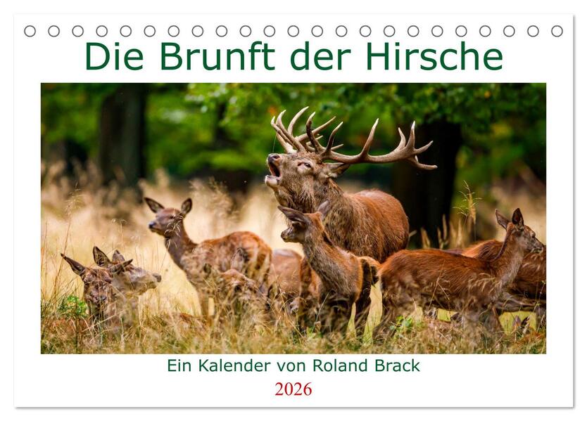 Die Brunft der Hirsche (Tischkalender 2026 DIN A5 quer) CALVENDO Monatskalender