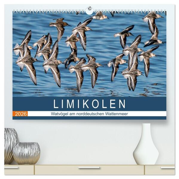 Limikolen - Watvögel am norddeutschen Wattenmeer (hochwertiger Premium Wandkalender 2026 DIN A2 quer) Kunstdruck in Hochglanz