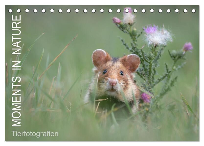 Moments in Nature (Tischkalender 2026 DIN A5 quer) CALVENDO Monatskalender