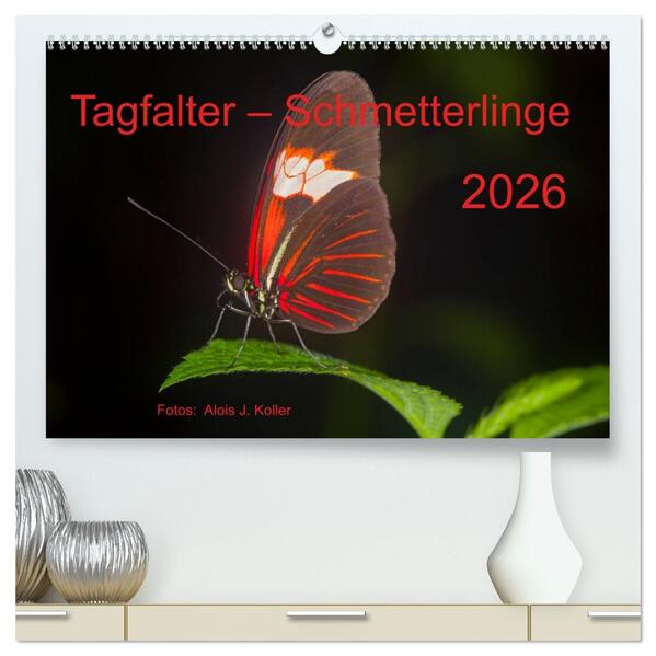 Tagfalter Schmetterlinge (hochwertiger Premium Wandkalender 2026 DIN A2 quer) Kunstdruck in Hochglanz
