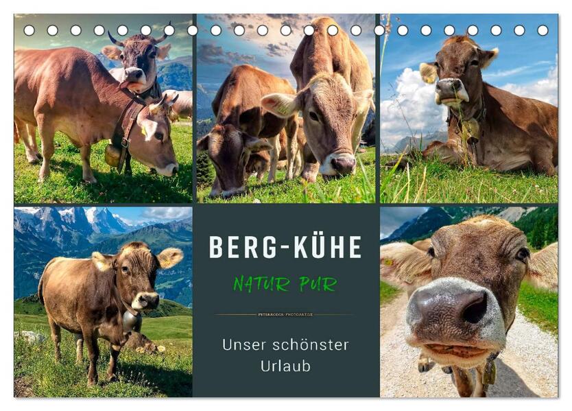 Berg-Kühe Natur pur - unser schönster Urlaub (Tischkalender 2026 DIN A5 quer) CALVENDO Monatskalender
