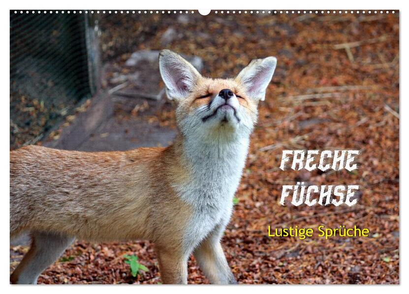 Freche Füchse - lustige Sprüche (Wandkalender 2026 DIN A2 quer) CALVENDO Monatskalender