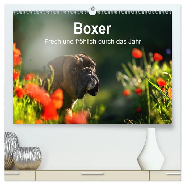 Boxer Frech und fröhlich durch das Jahr (hochwertiger Premium Wandkalender 2026 DIN A2 quer) Kunstdruck in Hochglanz