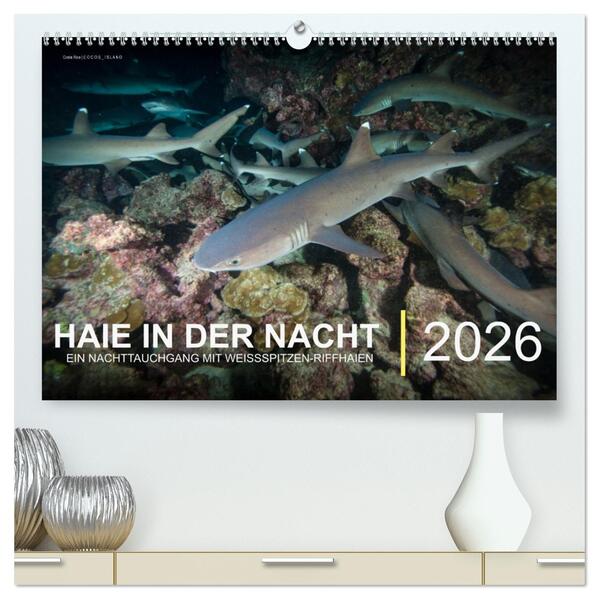 Haie in der Nacht (hochwertiger Premium Wandkalender 2026 DIN A2 quer) Kunstdruck in Hochglanz