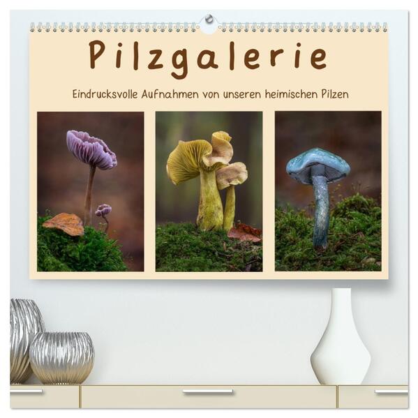 Pilzgalerie - Eindrucksvolle Aufnahmen von unseren heimischen Pilzen (hochwertiger Premium Wandkalender 2026 DIN A2 quer) Kunstdruck in Hochglanz