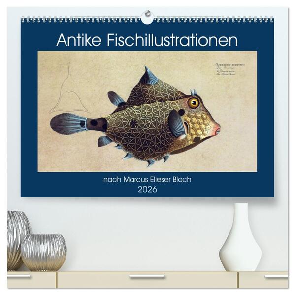 Antike Fischillustrationen nach Marcus Elieser Bloch (hochwertiger Premium Wandkalender 2026 DIN A2 quer) Kunstdruck in Hochglanz