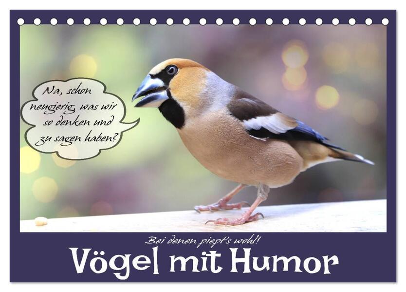 Vögel mit Humor (Tischkalender 2026 DIN A5 quer) CALVENDO Monatskalender