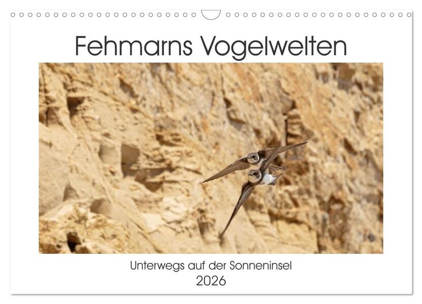 Fehmarn Vogelwelten (Wandkalender 2026 DIN A3 quer) CALVENDO Monatskalender