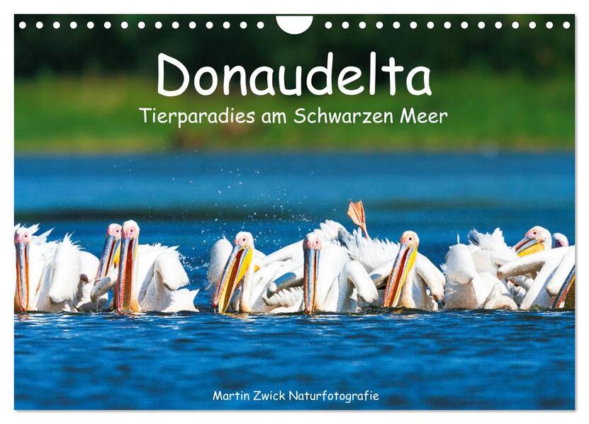 Donaudelta - Tierparadies am Schwarzen Meer (Wandkalender 2026 DIN A4 quer) CALVENDO Monatskalender