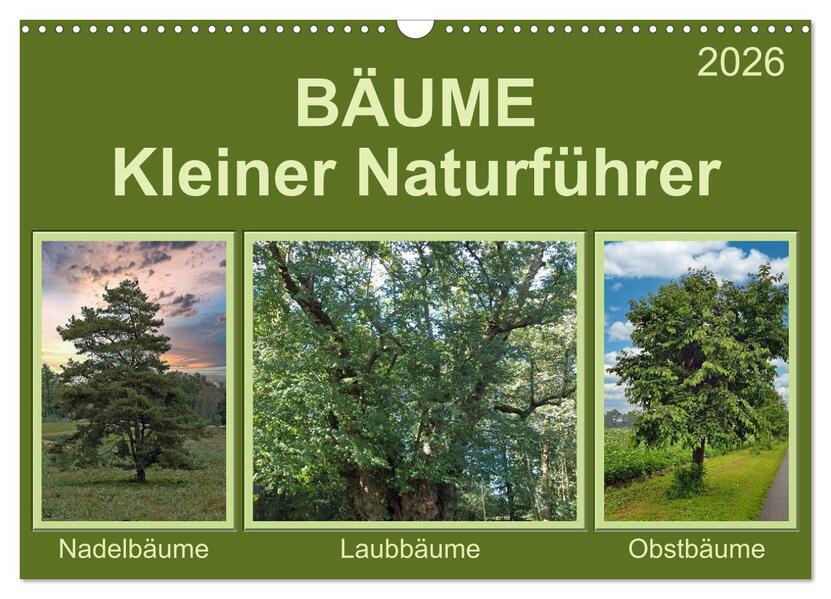 Bäume Kleiner Naturführer (Wandkalender 2026 DIN A3 quer) CALVENDO Monatskalender