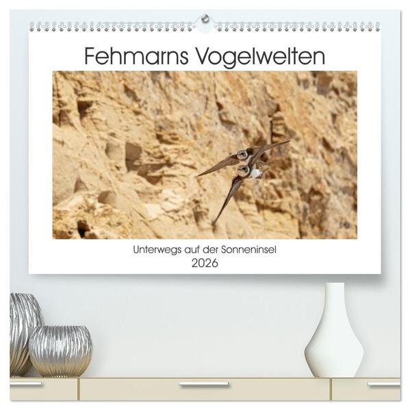 Fehmarn Vogelwelten (hochwertiger Premium Wandkalender 2026 DIN A2 quer) Kunstdruck in Hochglanz