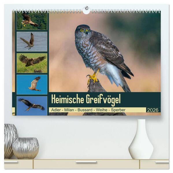 Heimische GREIFVÖGEL Adler Milan Bussard Weihe Sperber (hochwertiger Premium Wandkalender 2026 DIN A2 quer) Kunstdruck in Hochglanz