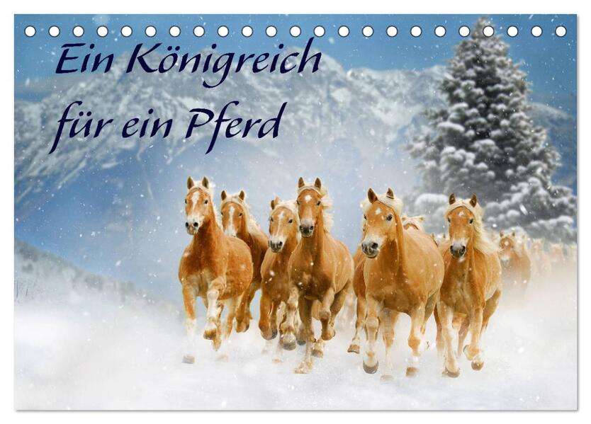 Ein Königreich für ein Pferd (Tischkalender 2026 DIN A5 quer) CALVENDO Monatskalender