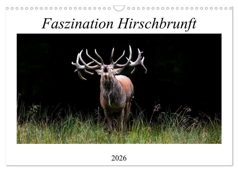 Faszination Hirschbrunft (Wandkalender 2026 DIN A3 quer) CALVENDO Monatskalender
