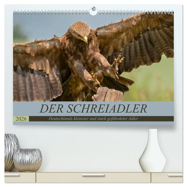 Der Schreiadler (Clanga pomarina) - Deutschands kleinster und stark gefährdeter Adler. (hochwertiger Premium Wandkalender 2026 DIN A2 quer) Kunstdruck in Hochglanz