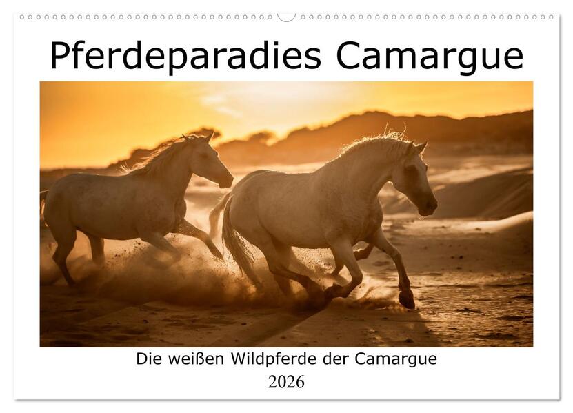 Pferdeparadies Camargue (Wandkalender 2026 DIN A2 quer) CALVENDO Monatskalender