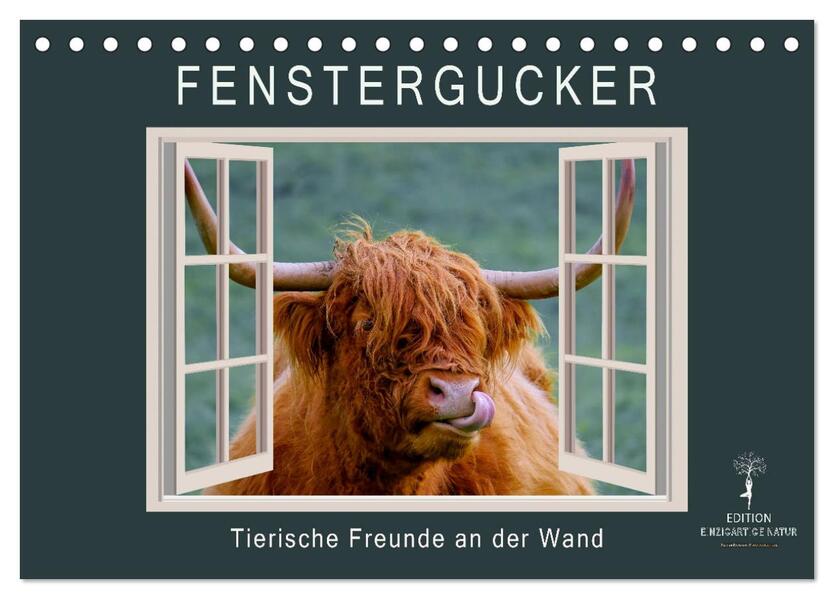 Fenstergucker - tierische Freunde an der Wand (Tischkalender 2026 DIN A5 quer) CALVENDO Monatskalender