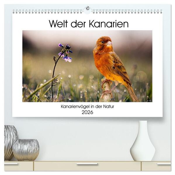 Welt der Kanarien (hochwertiger Premium Wandkalender 2026 DIN A2 quer) Kunstdruck in Hochglanz