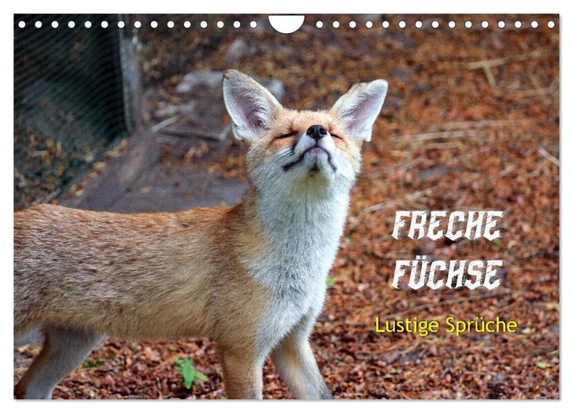 Freche Füchse - lustige Sprüche (Wandkalender 2026 DIN A4 quer) CALVENDO Monatskalender