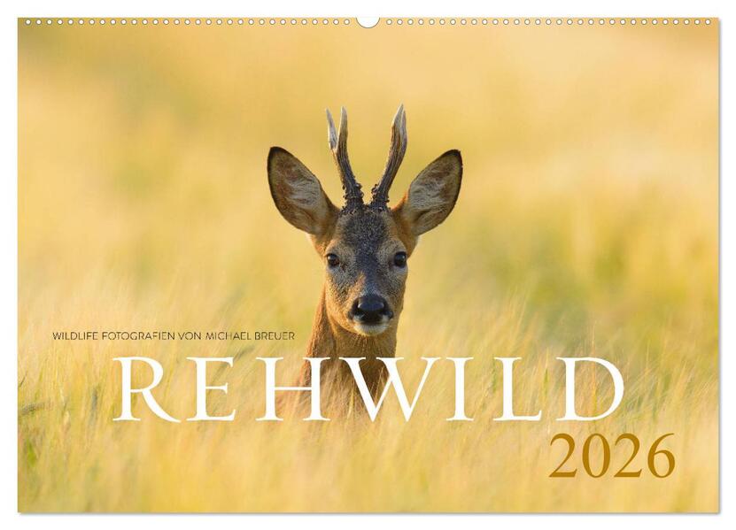 Rehwild 2026 (Wandkalender 2026 DIN A2 quer) CALVENDO Monatskalender