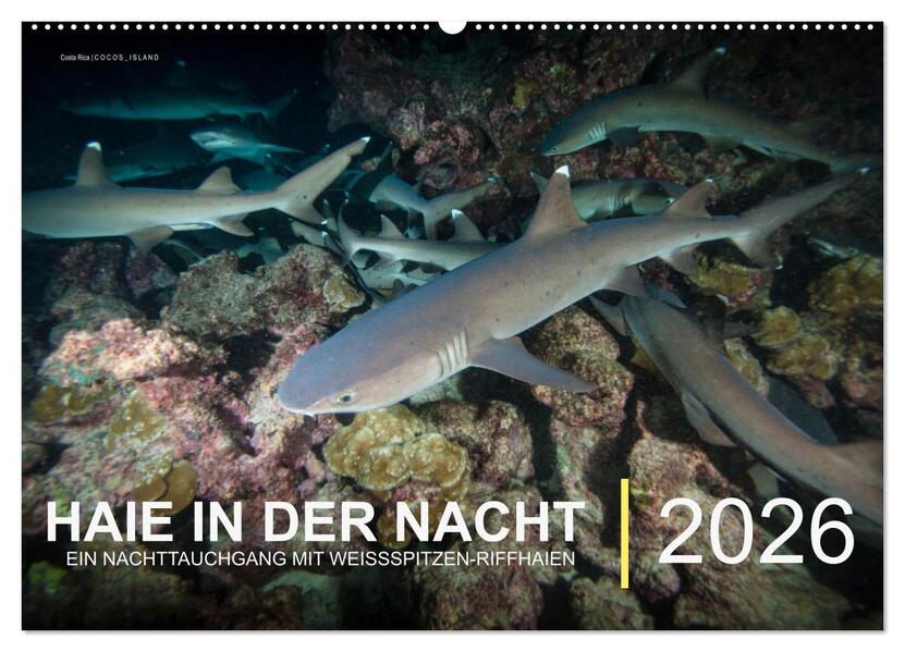 Haie in der Nacht (Wandkalender 2026 DIN A2 quer) CALVENDO Monatskalender