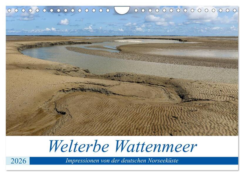 Welterbe Wattenmeer (Wandkalender 2026 DIN A4 quer) CALVENDO Monatskalender