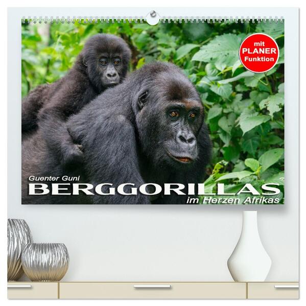Berggorillas im Herzen Afrikas (hochwertiger Premium Wandkalender 2026 DIN A2 quer) Kunstdruck in Hochglanz