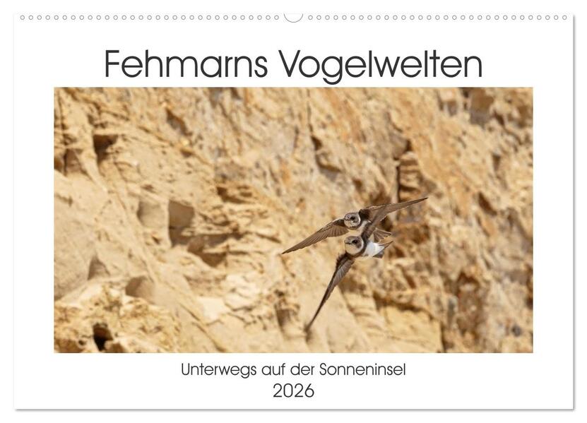 Fehmarn Vogelwelten (Wandkalender 2026 DIN A2 quer) CALVENDO Monatskalender