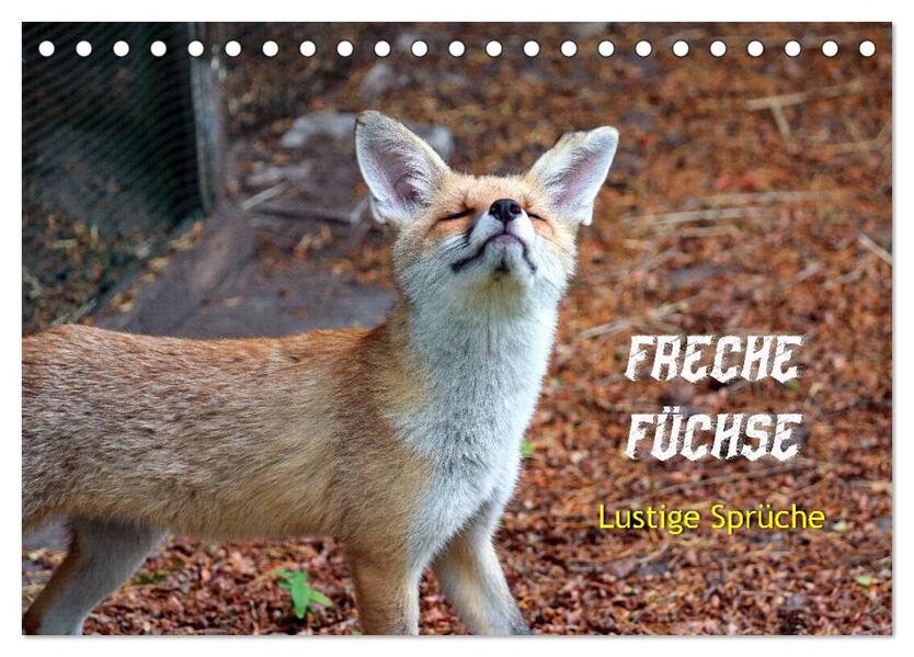 Freche Füchse - lustige Sprüche (Tischkalender 2026 DIN A5 quer) CALVENDO Monatskalender