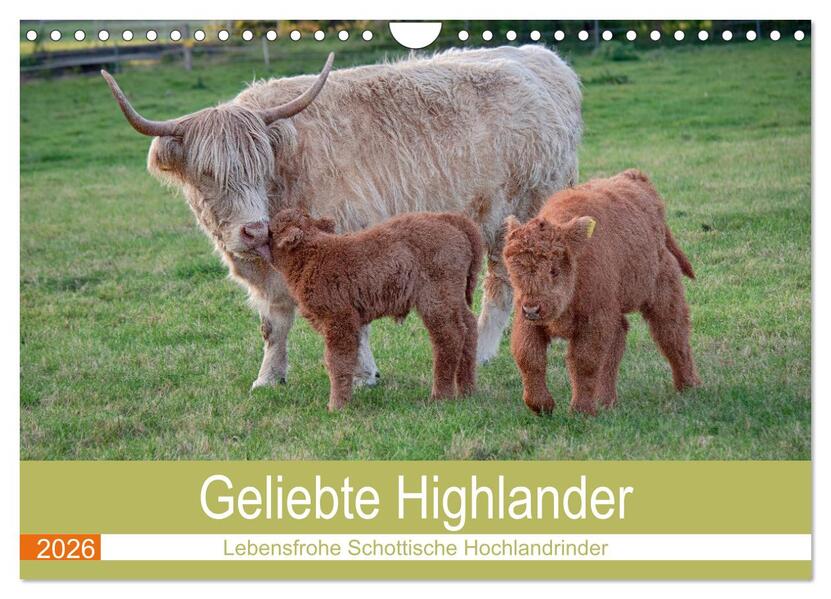Geliebte Highlander (Wandkalender 2026 DIN A4 quer) CALVENDO Monatskalender