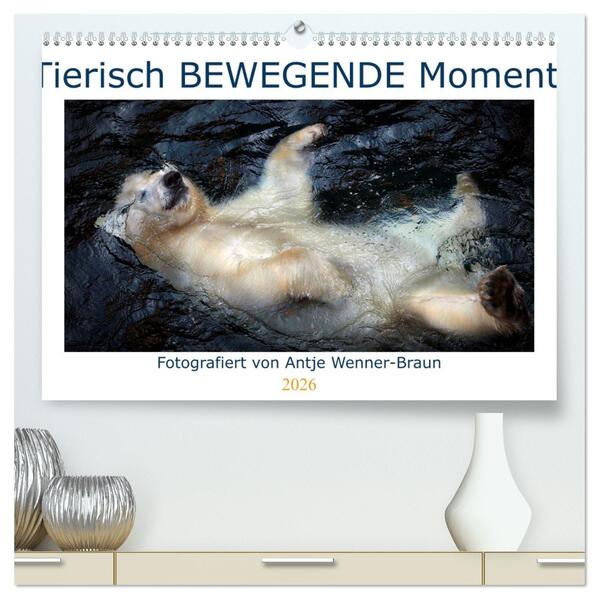 Tierisch BEWEGENDE Momente (hochwertiger Premium Wandkalender 2026 DIN A2 quer) Kunstdruck in Hochglanz