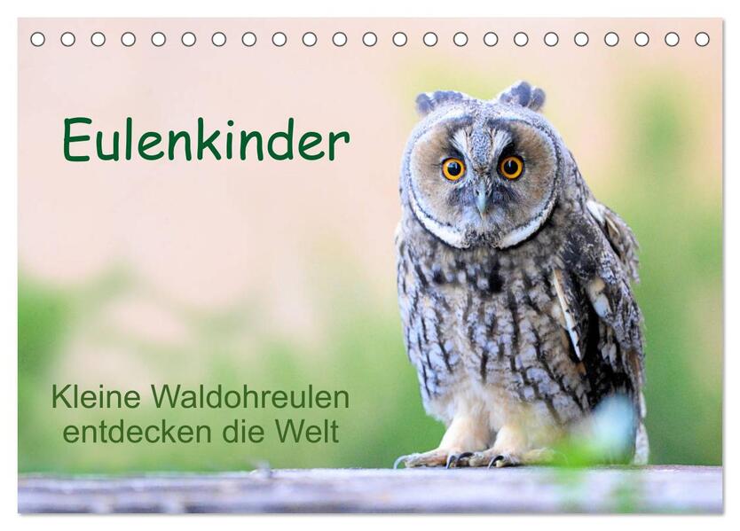 Eulenkinder - Kleine Waldohreulen entdecken die Welt (Tischkalender 2026 DIN A5 quer) CALVENDO Monatskalender
