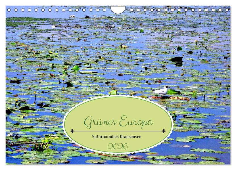 Grünes Europa - Naturparadies Drausensee (Wandkalender 2026 DIN A4 quer) CALVENDO Monatskalender