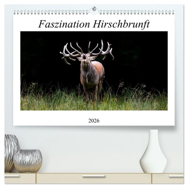 Faszination Hirschbrunft (hochwertiger Premium Wandkalender 2026 DIN A2 quer) Kunstdruck in Hochglanz