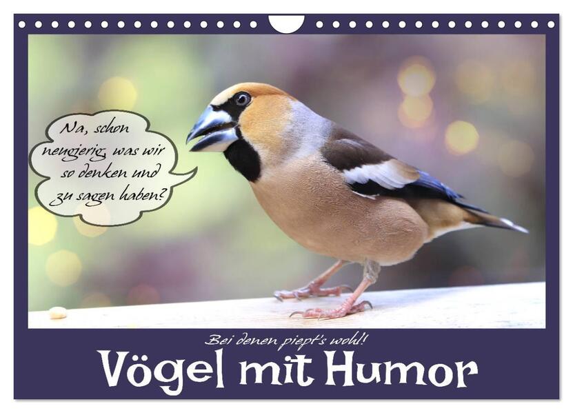 Vögel mit Humor (Wandkalender 2026 DIN A4 quer) CALVENDO Monatskalender