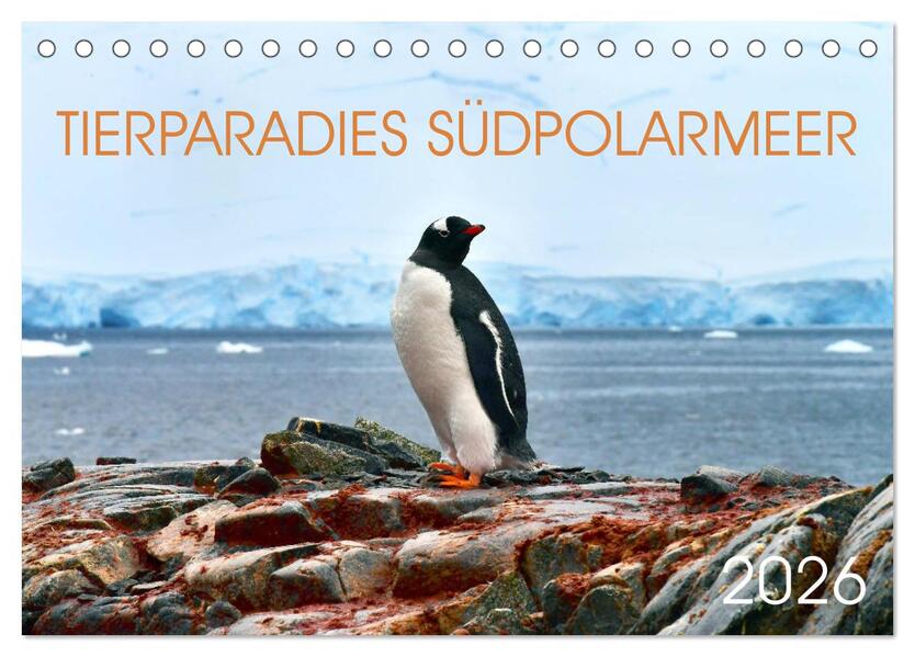 Tierparadies Südpolarmeer (Tischkalender 2026 DIN A5 quer) CALVENDO Monatskalender