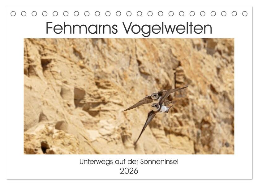 Fehmarn Vogelwelten (Tischkalender 2026 DIN A5 quer) CALVENDO Monatskalender