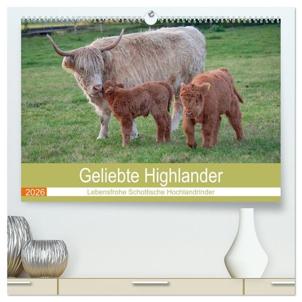Geliebte Highlander (hochwertiger Premium Wandkalender 2026 DIN A2 quer) Kunstdruck in Hochglanz