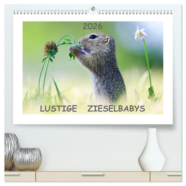 Lustige Zieselbabys (hochwertiger Premium Wandkalender 2026 DIN A2 quer) Kunstdruck in Hochglanz