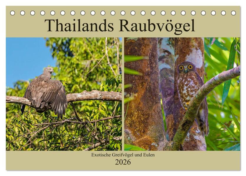 THAILANDS RAUBVÖGEL Exotische Greifvögel und Eulen (Tischkalender 2026 DIN A5 quer) CALVENDO Monatskalender